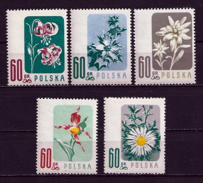 1957 r. Fi 876 - 880**