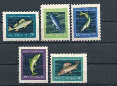 1958 r. Fi 906 - 910**.