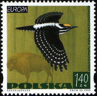 1999 r. Fi 3615**. Wycofany z obiegu.