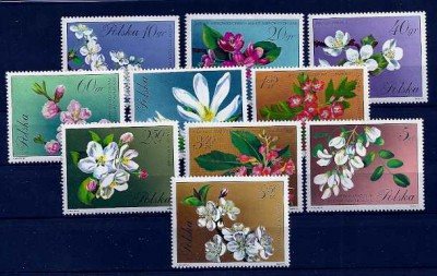 1971 r. Fi 1985 - 1994**.