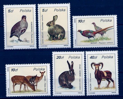 1986 r. Fi 2871 - 2876**.