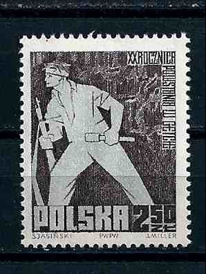 1963 r. Fi 1243**.