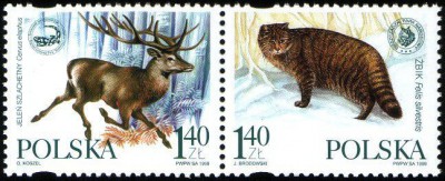 1999 r. Fi 3639 - 3640** .