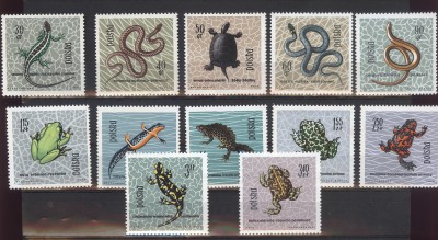 Gady i Płazy - 1963