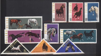 Konie Polskie- 1963