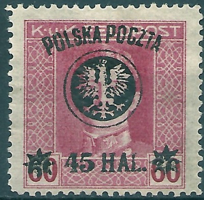 1919 r. Wyd. Lubelskie Fi 24* z gwr.