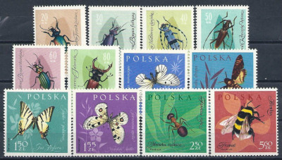 1961 r. Fi 1132 - 1143**.