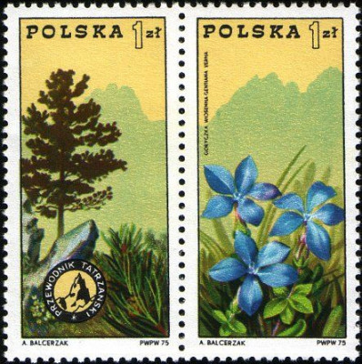 1975 r. Fi 2223 - 2228**.Parki