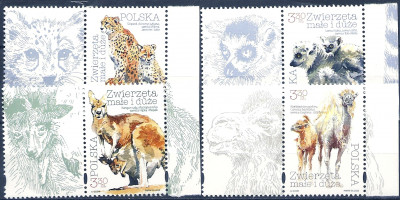 2020 r Fi 5060 - 5063**