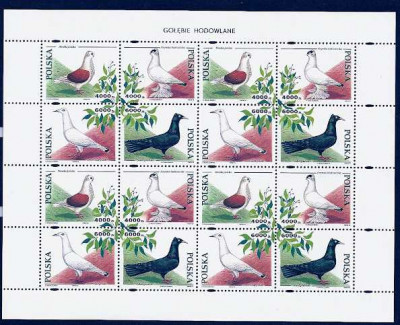 1994 r. Ark. 3363 - 3366**.