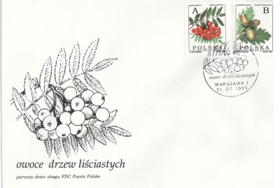 3401 i 3402 FDC