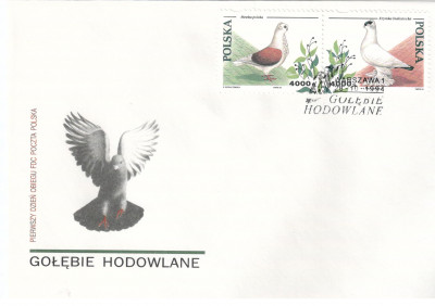 Fi 3363 i 3364 FDC