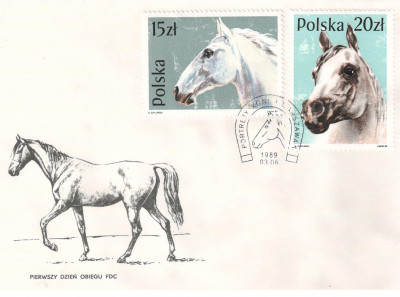Fi 3042 i 3045 FDC
