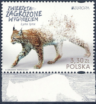 2021 r Fi 5141** EUROPA