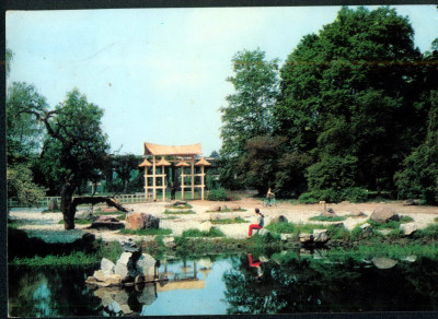 Wrocław 31 ogr&oacute;d japoński w Parku Szczytnickim