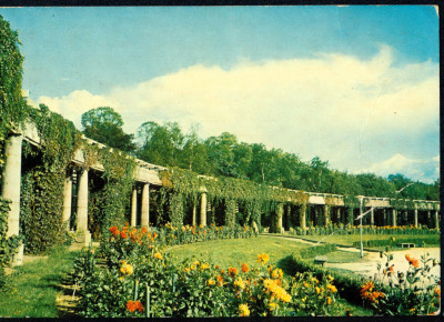 Wrocław 43 pergola w Parku Szczytnickim