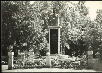 Dąbie - pomnik Tadeusza Kościuszko (1)