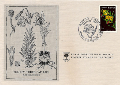 RHS Maximum Card - Andorra Fr. 1980 Mi 287