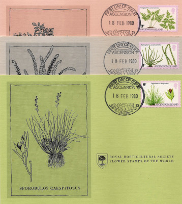 RHS Maximum Card -  Ascension Island 1980
