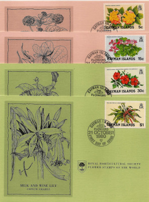 RHS Maximum Card -   Cayman Islands 1980