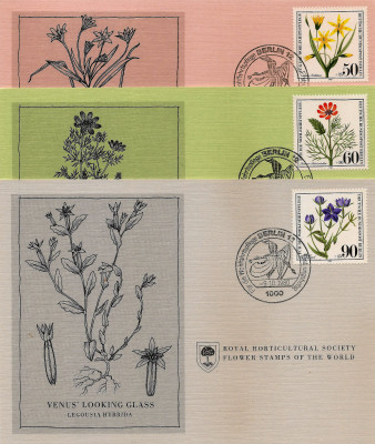 RHS Maximum Card -  Germany Berlin 1980