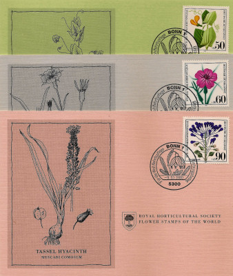 RHS Maximum Card -  Germany Bonn 1980