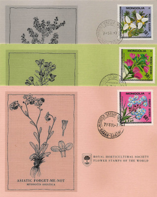 RHS Maximum Card - Mongolia 1979