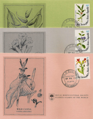 RHS Maximum Card - News Anguilla 1979