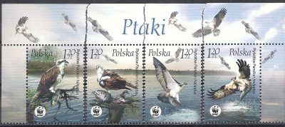 2003 r. Fi 3929 - 3932**