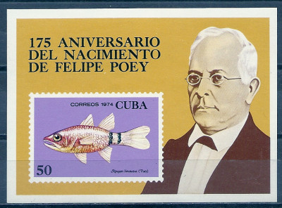 1974 Kuba  Blok 99**