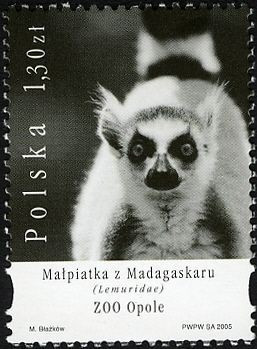 2005 r. Fi 4058 - 4061**.