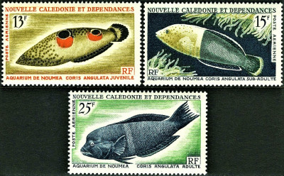 NOWA KALEDONIA 1959-1965 MNH**/MH*!Gratis wysyłka!