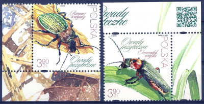 2023 Fi 5302 - 5303**