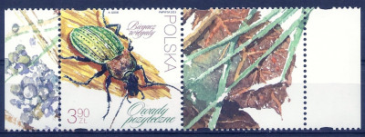 2023 Fi 5302** z przyw.