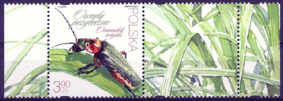 2023 Fi 5303** z przyw.