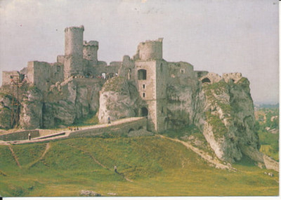 Podzamcze Ogrodzieńiec - 011569