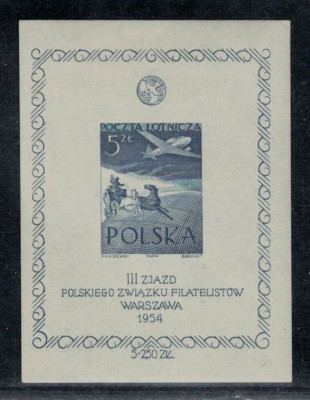Polska 1954 Fi Blok 13ND gwar. Łaszkiewicz **