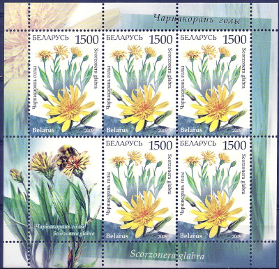 2009 r. Białoruś Ark 796**