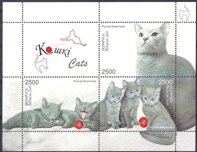 2009 r. Białoruś Blok 71**.