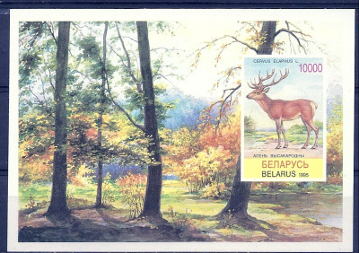 1995 r Białoruś Blok 5**