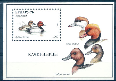 1996 r Białoruś Blok 12**