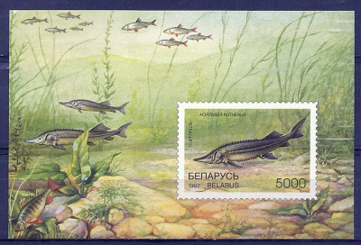 1997 r Białoruś Blok 15**