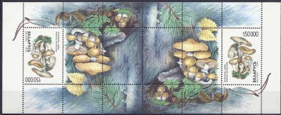 1999 r Białoruś Blok 17**