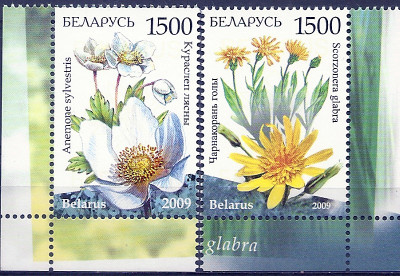 2009 r Białoruś Mi 795 - 796**