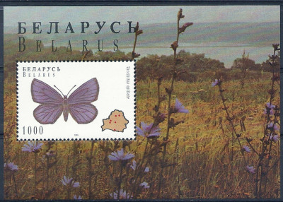 1996 r Białoruś Blok 8**