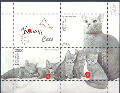 2009 r Białoruś Blok 69**