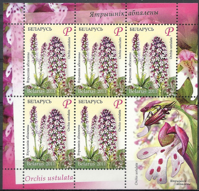 2001 r Białoruś Ark 870**.