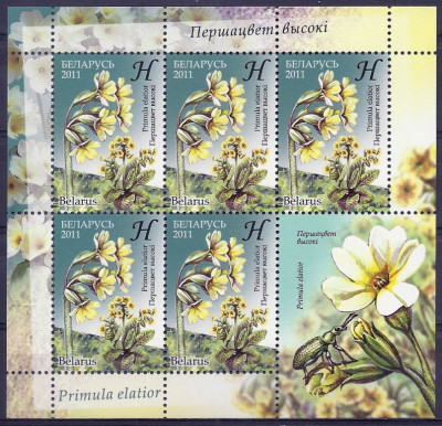 2011 r Białoruś Mi 871 - 872**.