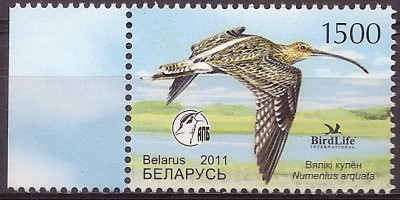 2011 r Białoruś Mi 873**.