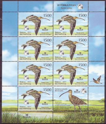 2011 r Białoruś Ark 873**.